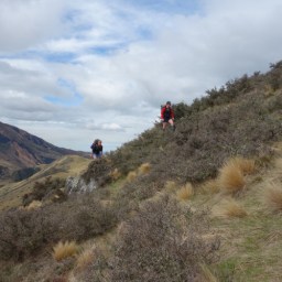 Peache Pass in the mist