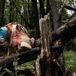 A Forgotten Bean Salad and a Wild Goose Chase