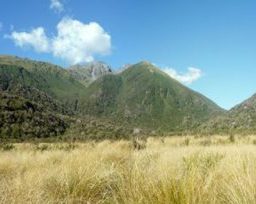 Enda And Volker’s Excellent Adventure