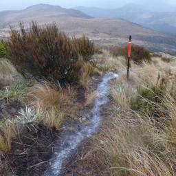 Sitting out the rain at Woolshed
