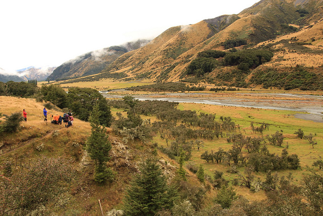 Boyle Valley. Lewis Pass