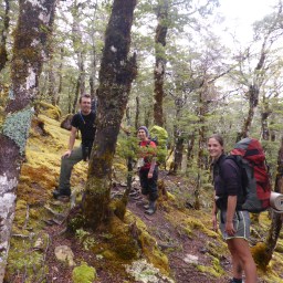 Devil’s Den Biv, Lewis Pass
