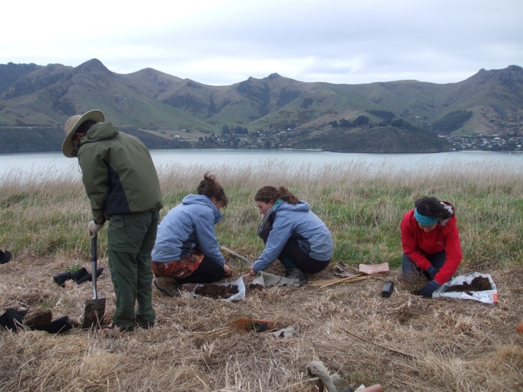 Planting on Quail Island