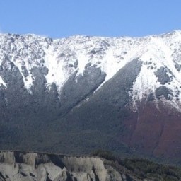 The Chronicles of Zach (and Andrews Stream Trapping)