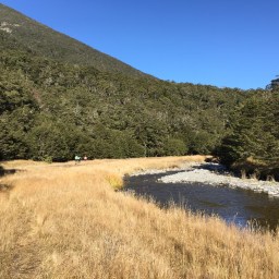 Trapping in the Andrews Valley