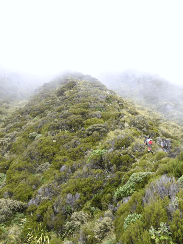 Ridge Route to the Tops