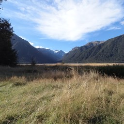 Of Flooded Rivers and Sandflies