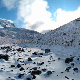 Type 2 Taruahuna Tramping