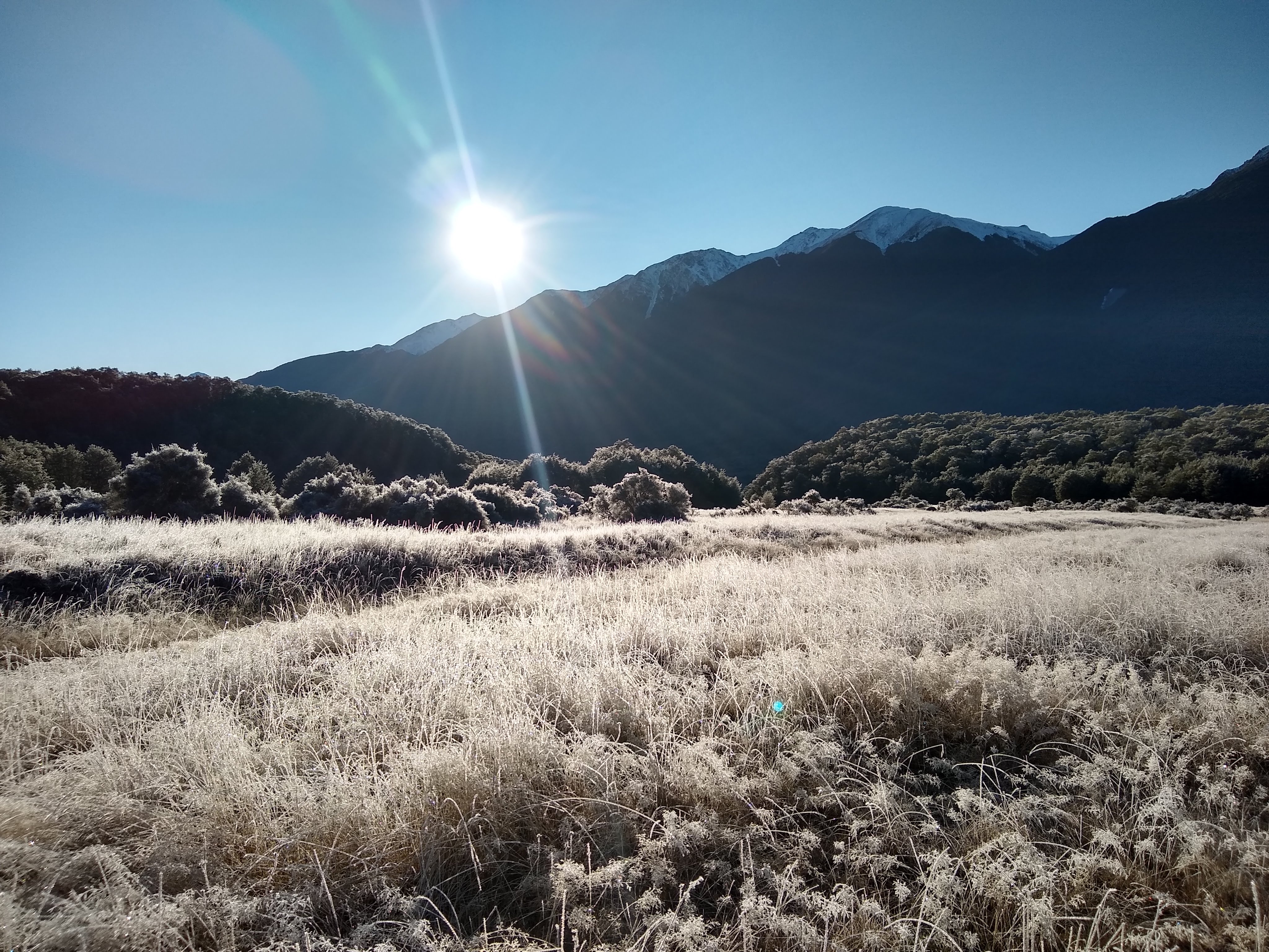 IMG_20200703_094640063_HDR