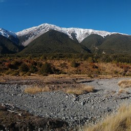 Up River Creek Without a Shit a.k.a. The Revenge of the Night Befores’ Chicken