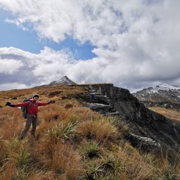 A Needle and the Haystack